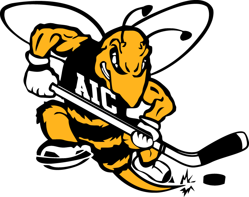 aic yellow jackets 2009-pres alternate logo v8 diy DTF decal sticker